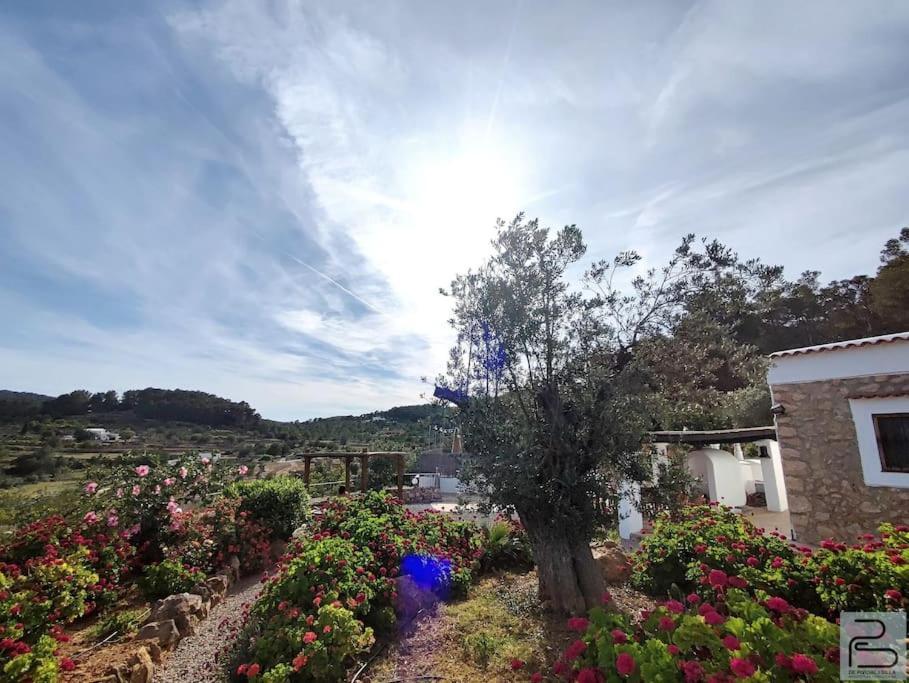 Casa Can Lluc Con Piscina, Jardin Y Vista Al Campo Sant Miquel de Balansat Esterno foto