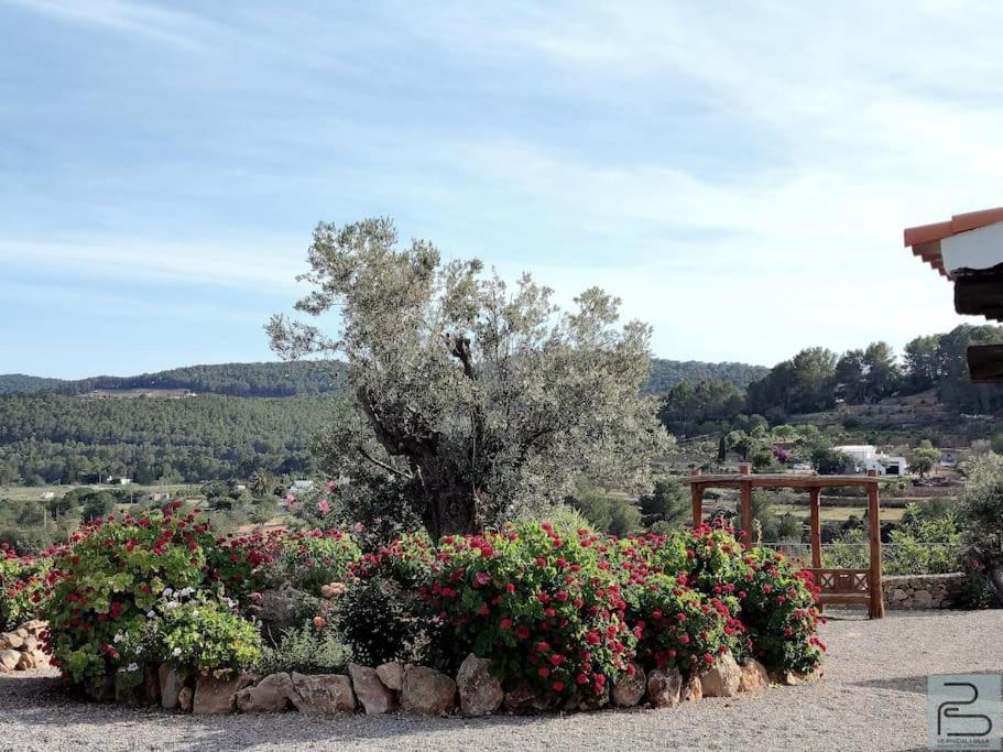 Casa Can Lluc Con Piscina, Jardin Y Vista Al Campo Sant Miquel de Balansat Esterno foto