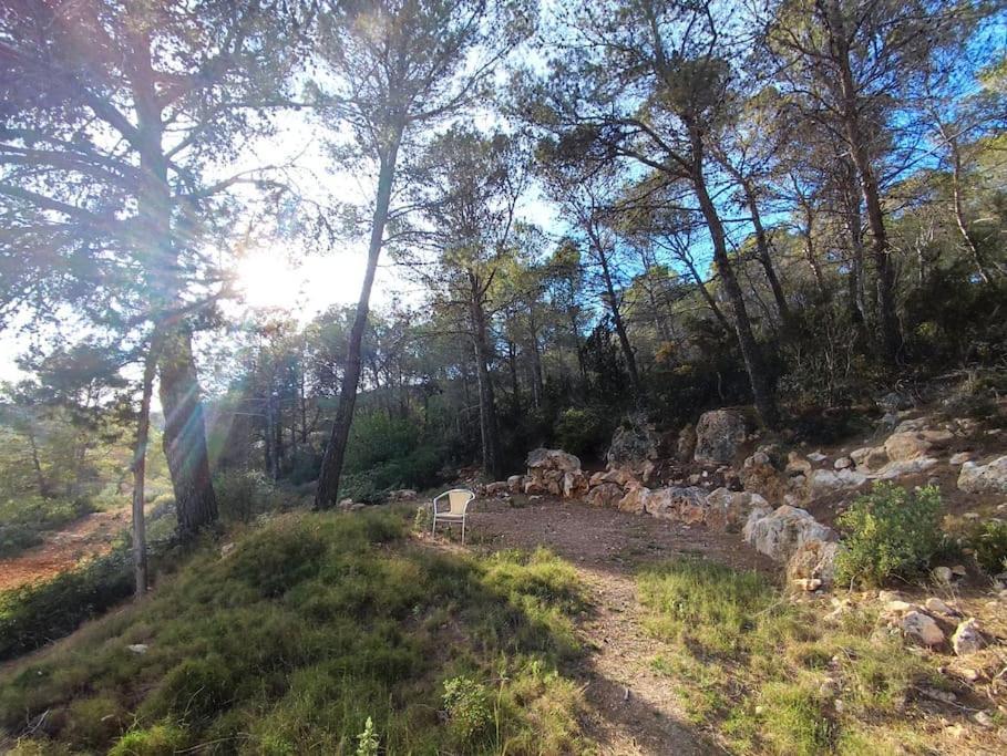 Casa Can Lluc Con Piscina, Jardin Y Vista Al Campo Sant Miquel de Balansat Esterno foto